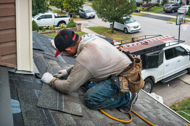 Professional Gutter Repair And Installation technician working in Ozona, FL
